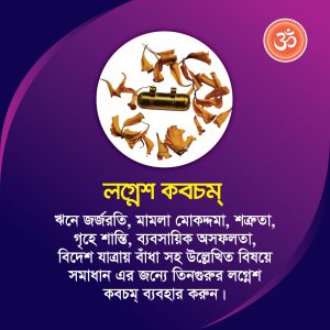 লগ্নেশ কবচম্