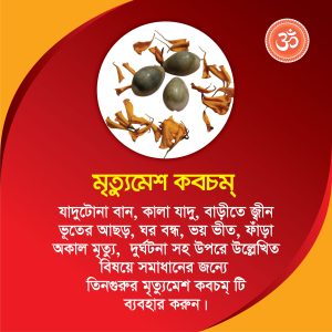 মৃত্যুমেশ কবচম্