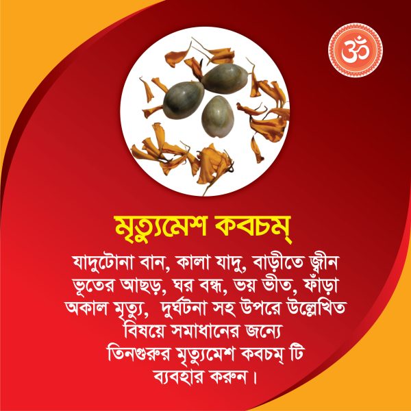 মৃত্যুমেশ কবচম্